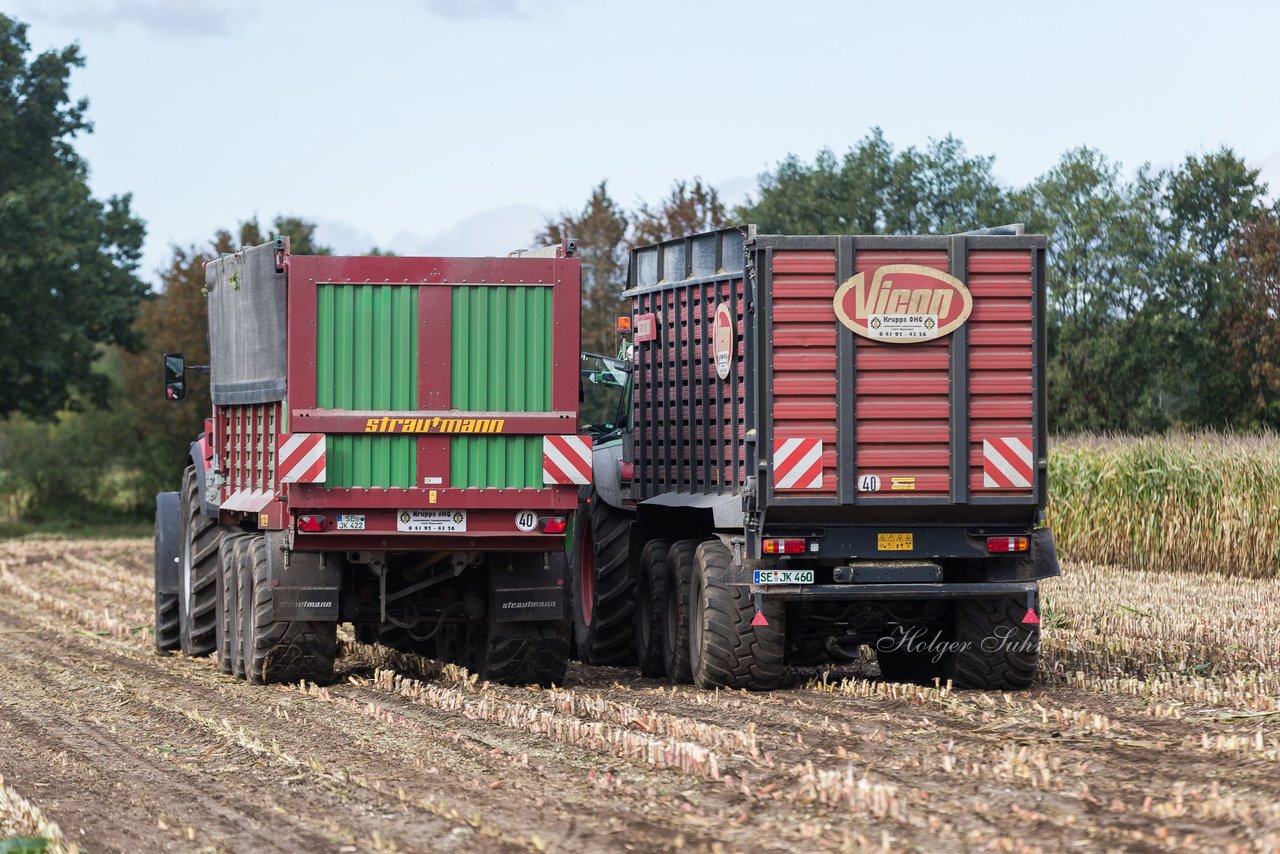 Bild 133 - Maisernte